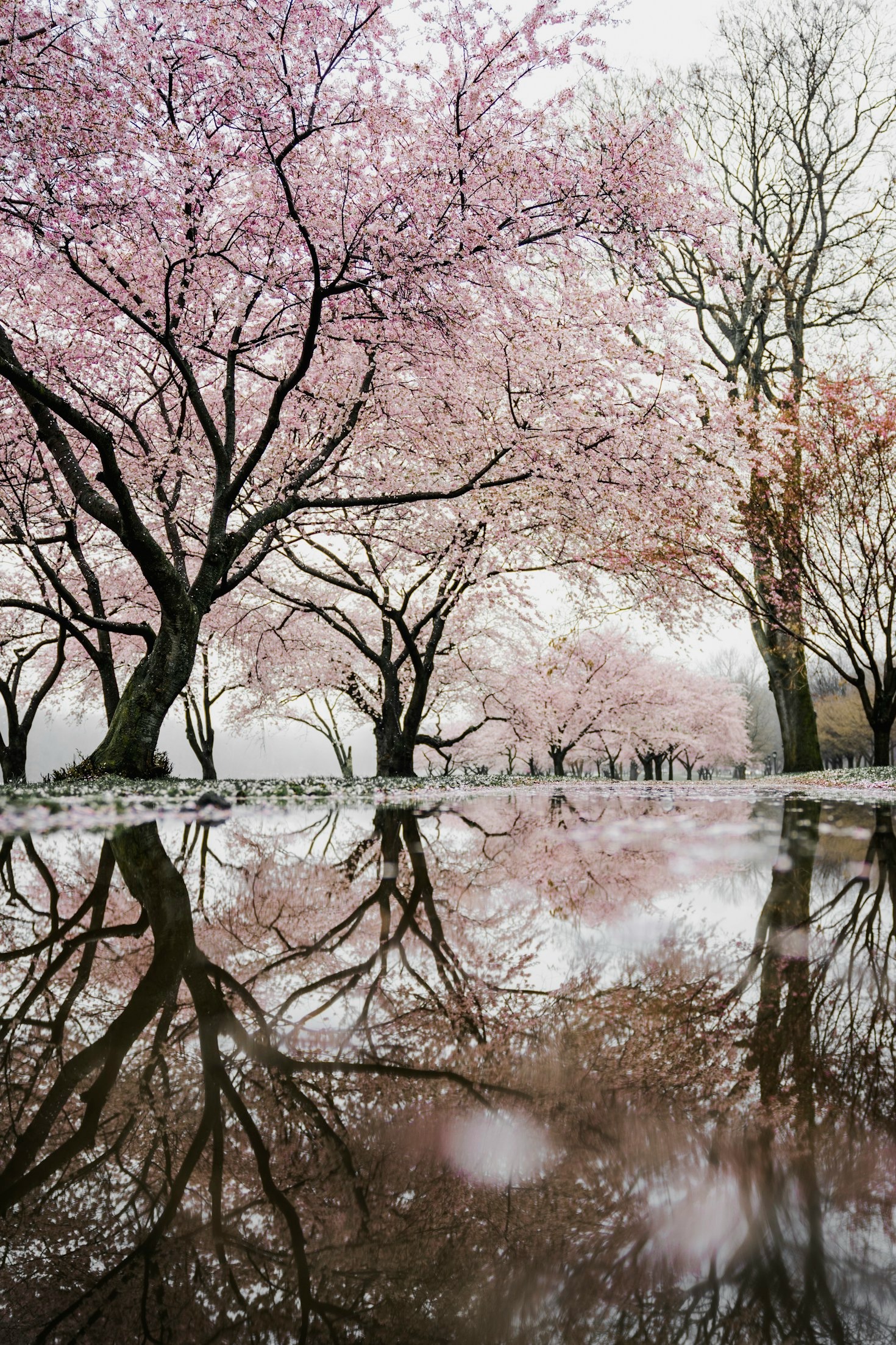 Personal Growth: Reflections from the Heart